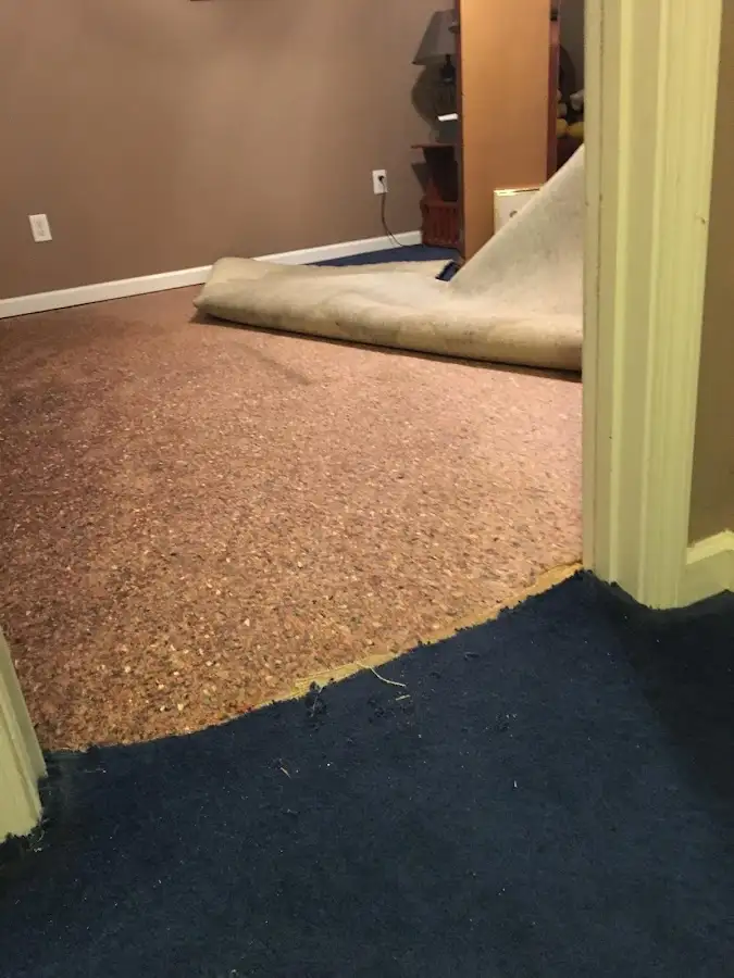 Carpet pad removal revealing water damage during Water Mitigation Services in Norristown